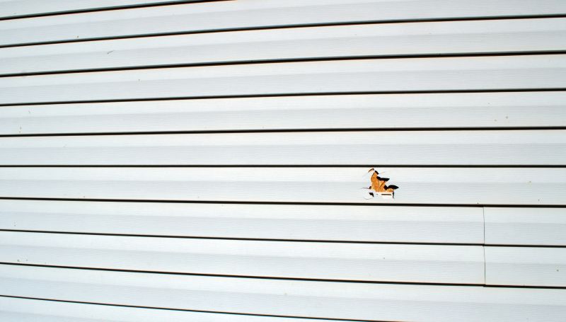 Preparing Siding for Repair